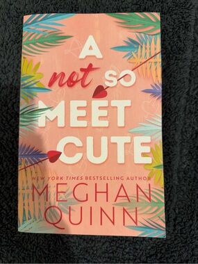 A Not So Meet Cute by Meghan Quinn